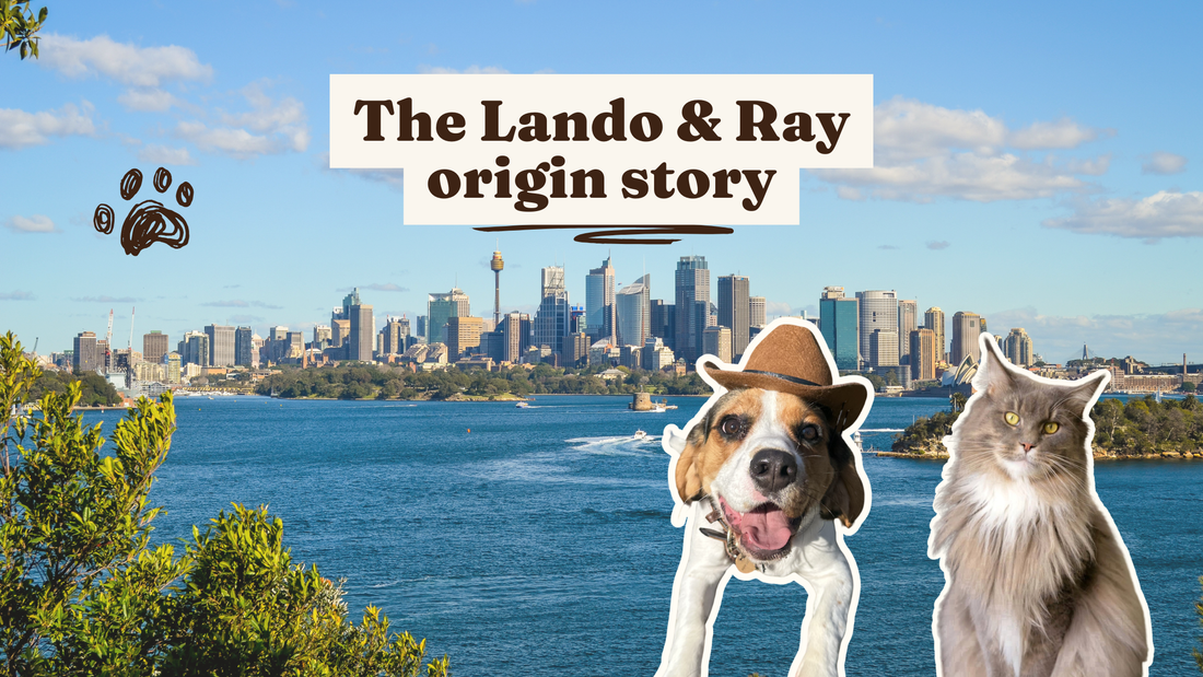 The Lando & Ray origin story: how a viral TikTok became a pet accessories brand