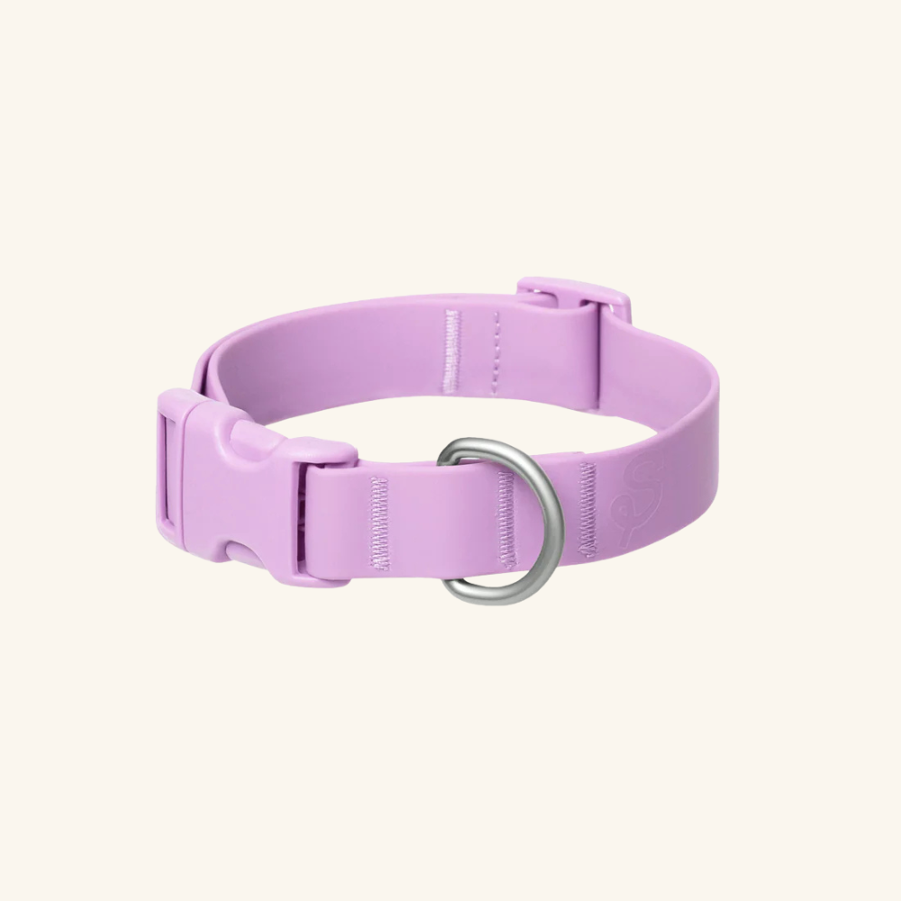 Customisable Waterproof Dog Collar in Lilac