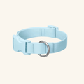 Customisable Waterproof Dog Collar in Sky Blue
