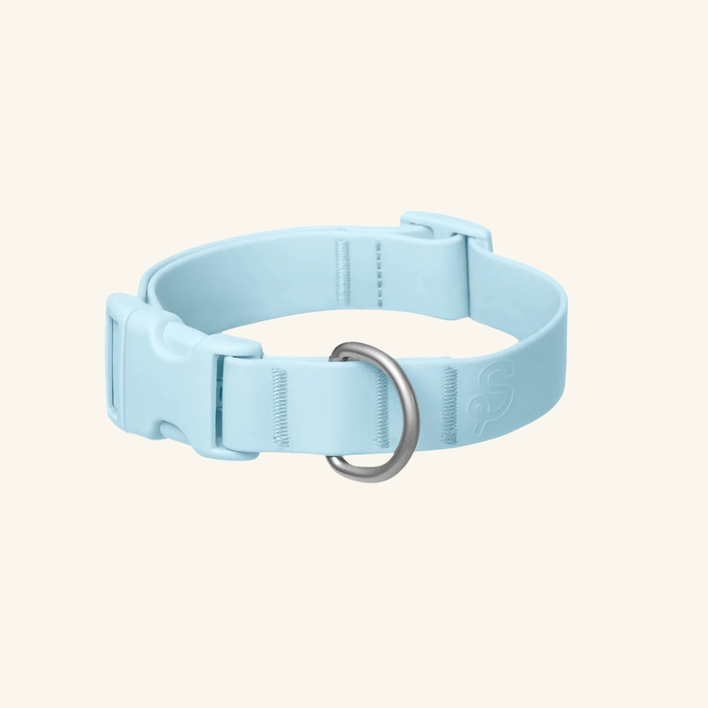 Customisable Waterproof Dog Collar in Sky Blue