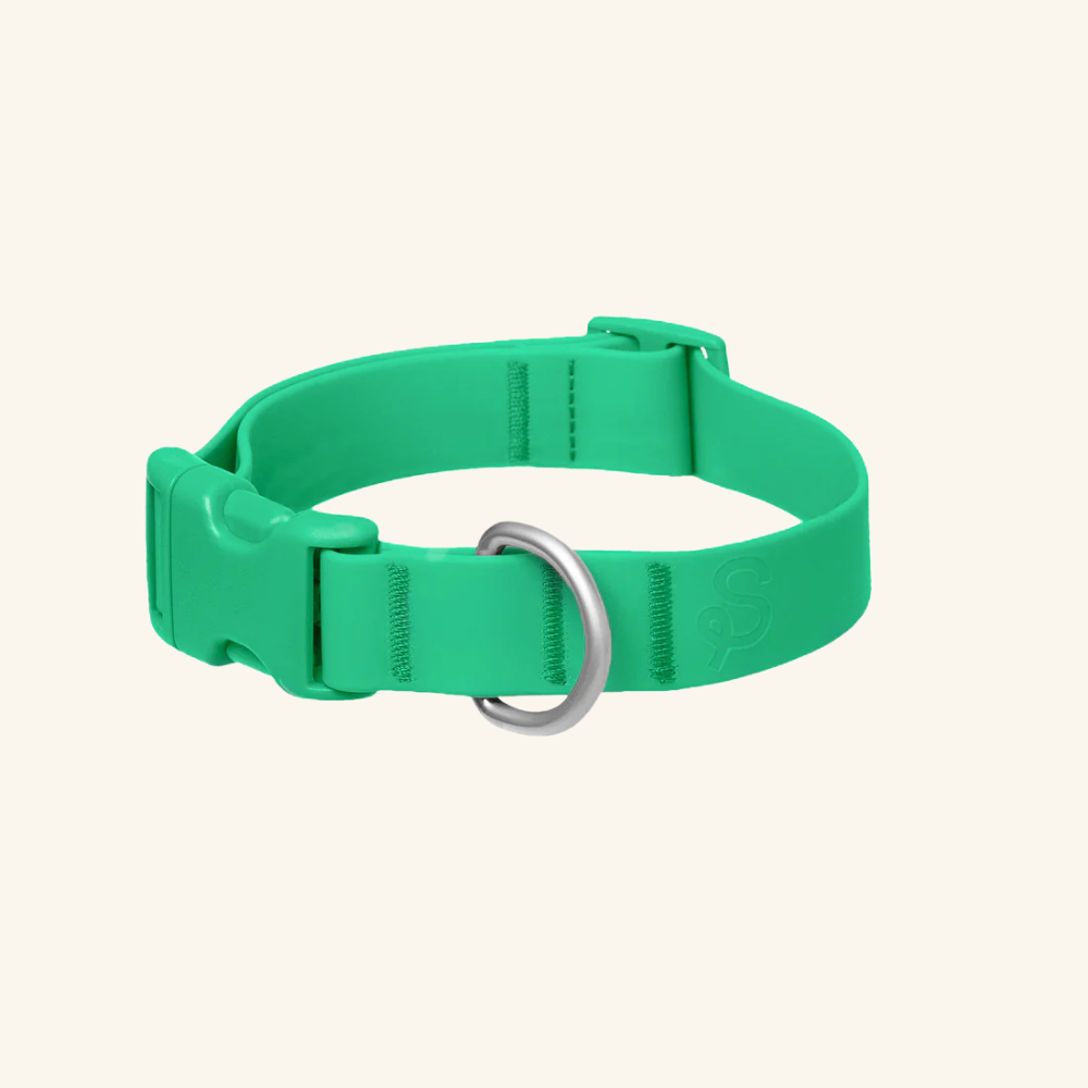 Customisable Waterproof Dog Collar in Green