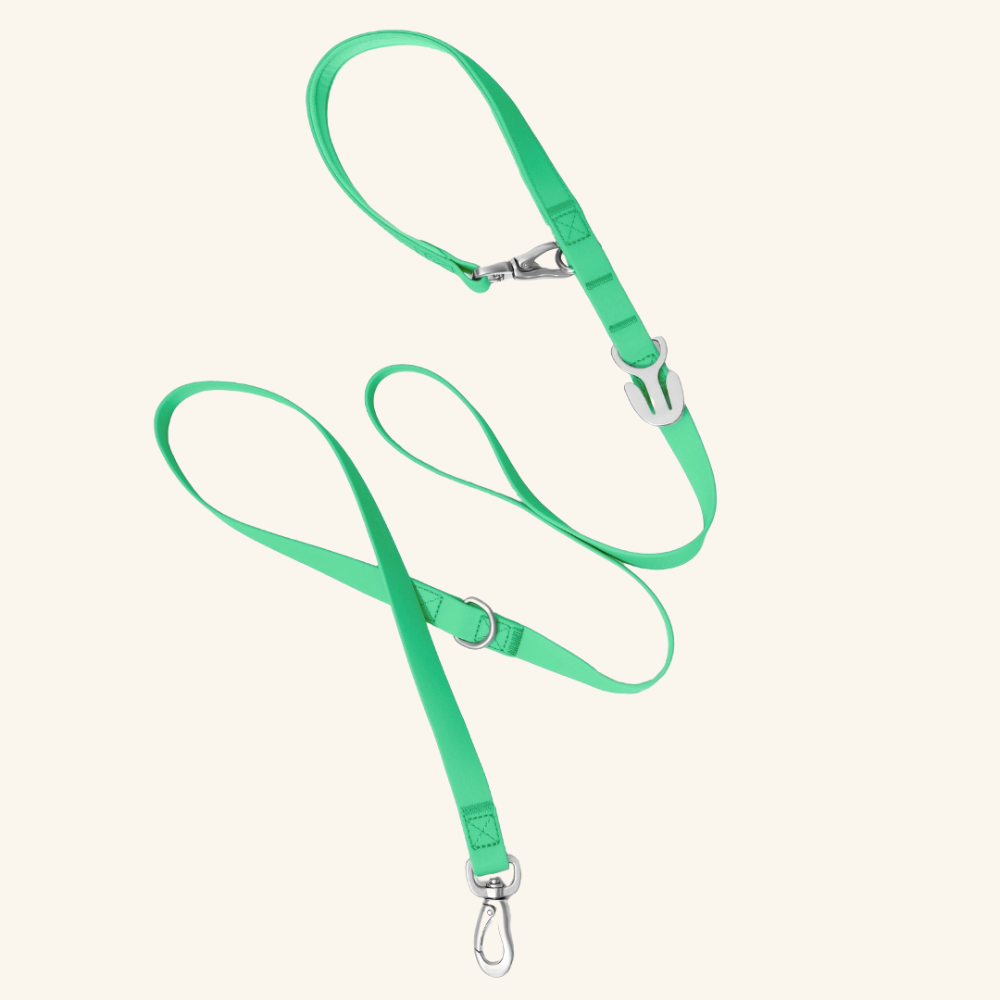 Premium Waterproof Leash in Green