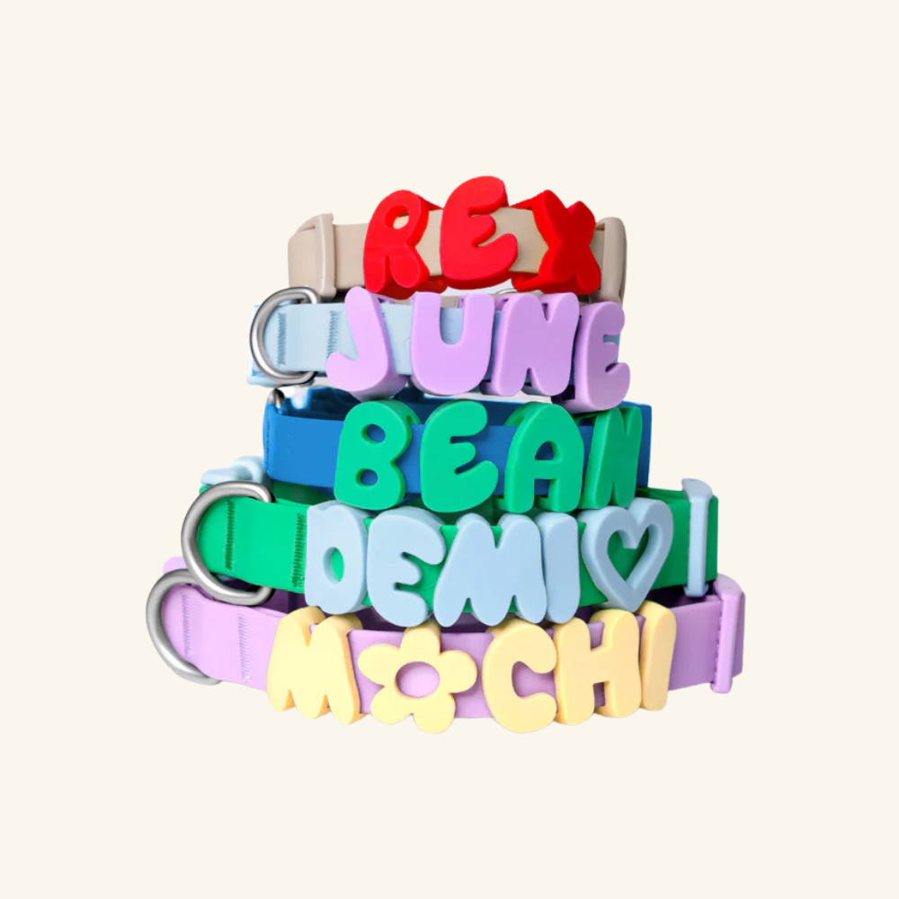Personalised Collar & Lead Bubble Letter Charms