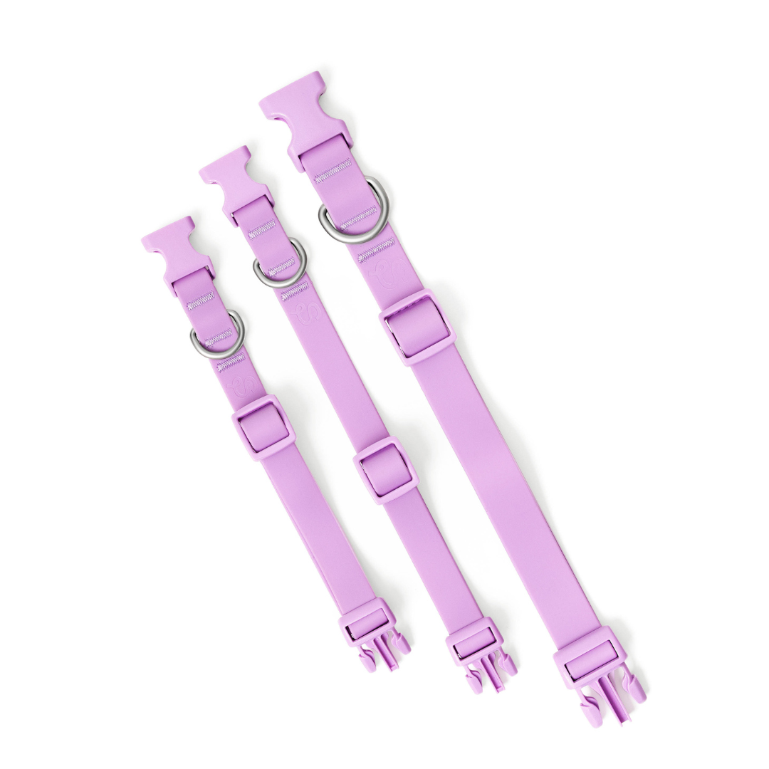 Customisable Waterproof Dog Collar in Lilac