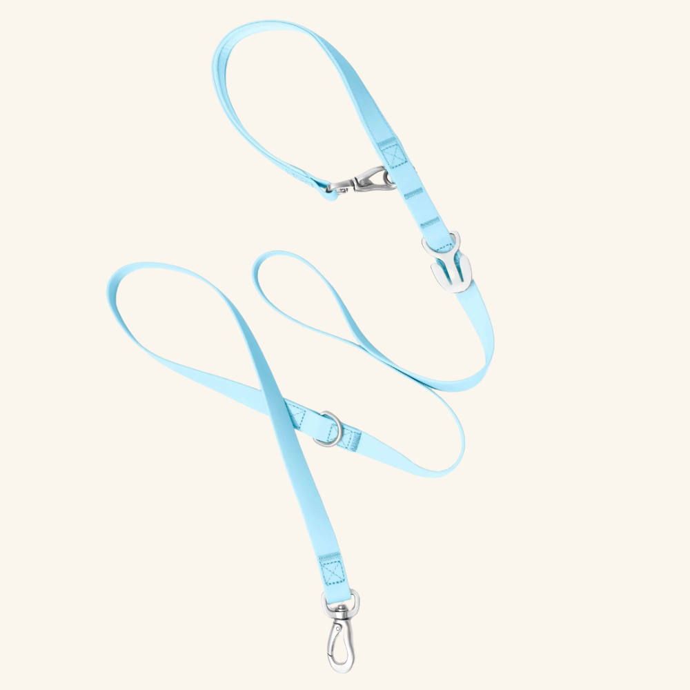 Premium Waterproof Leash in Sky Blue