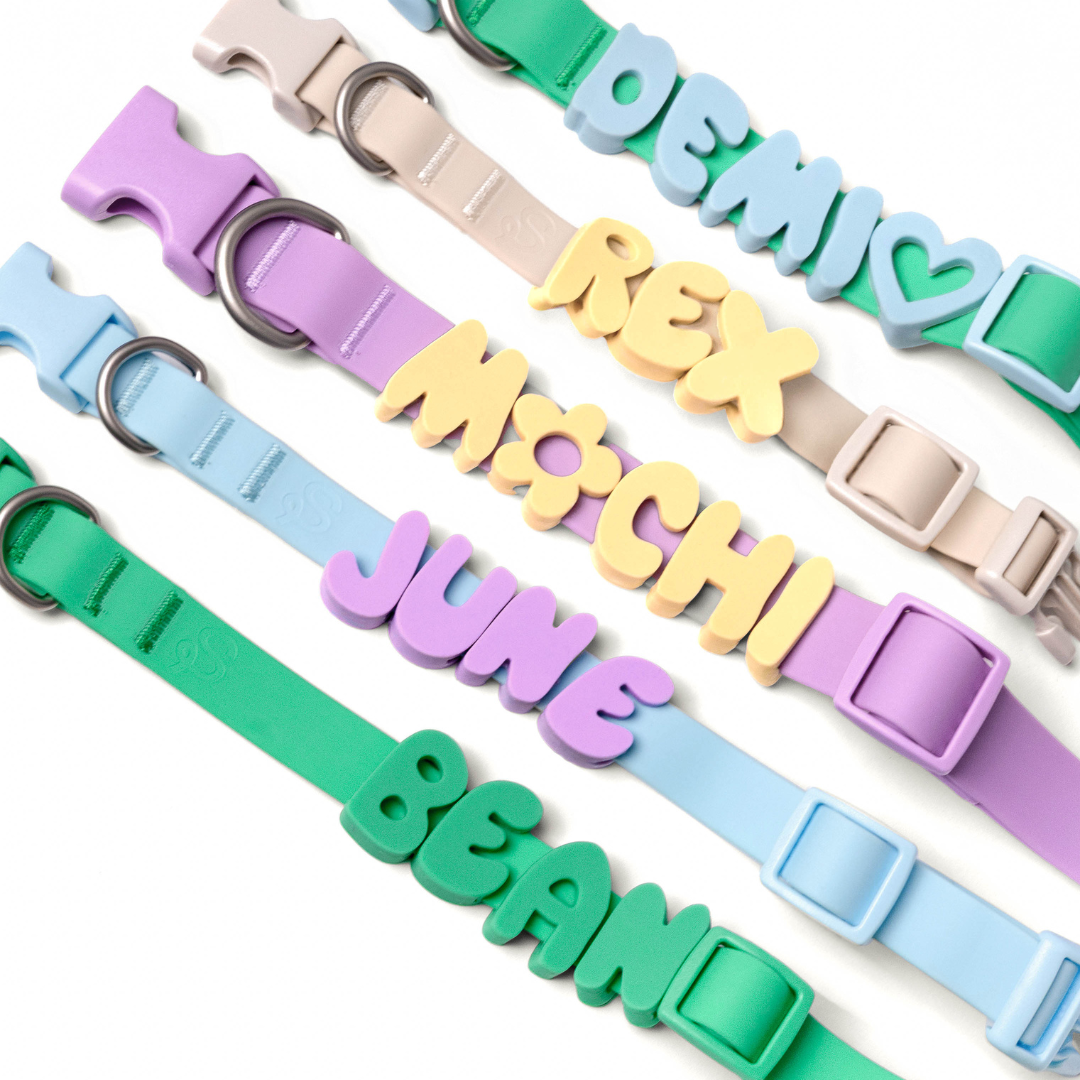 Customisable Waterproof Dog Collar in Oat