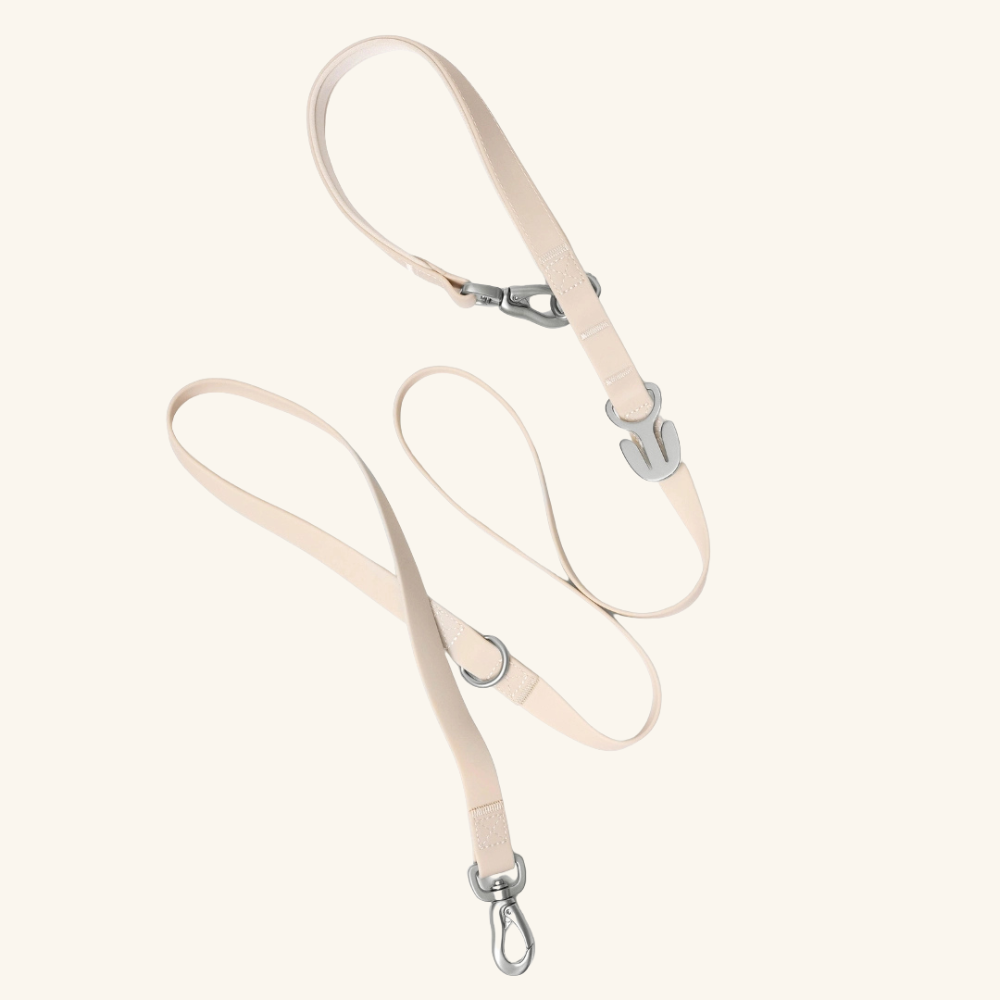 Premium Waterproof Leash in Oat