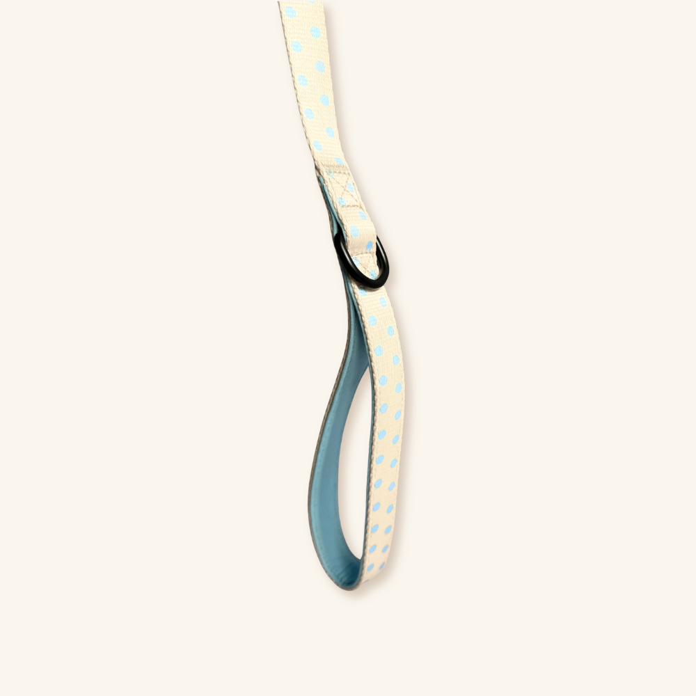 Dog Lead in Blueberry Polka Dot
