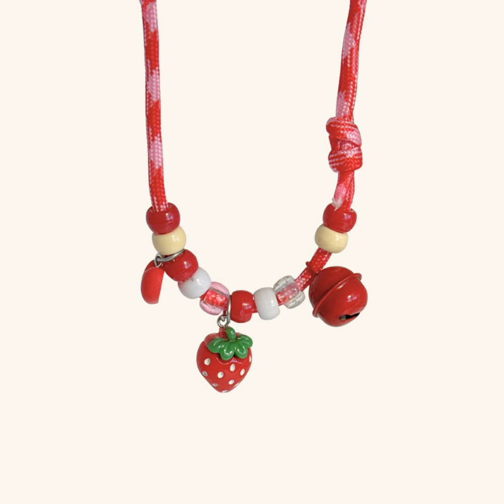 Beaded Pet Necklace in Red