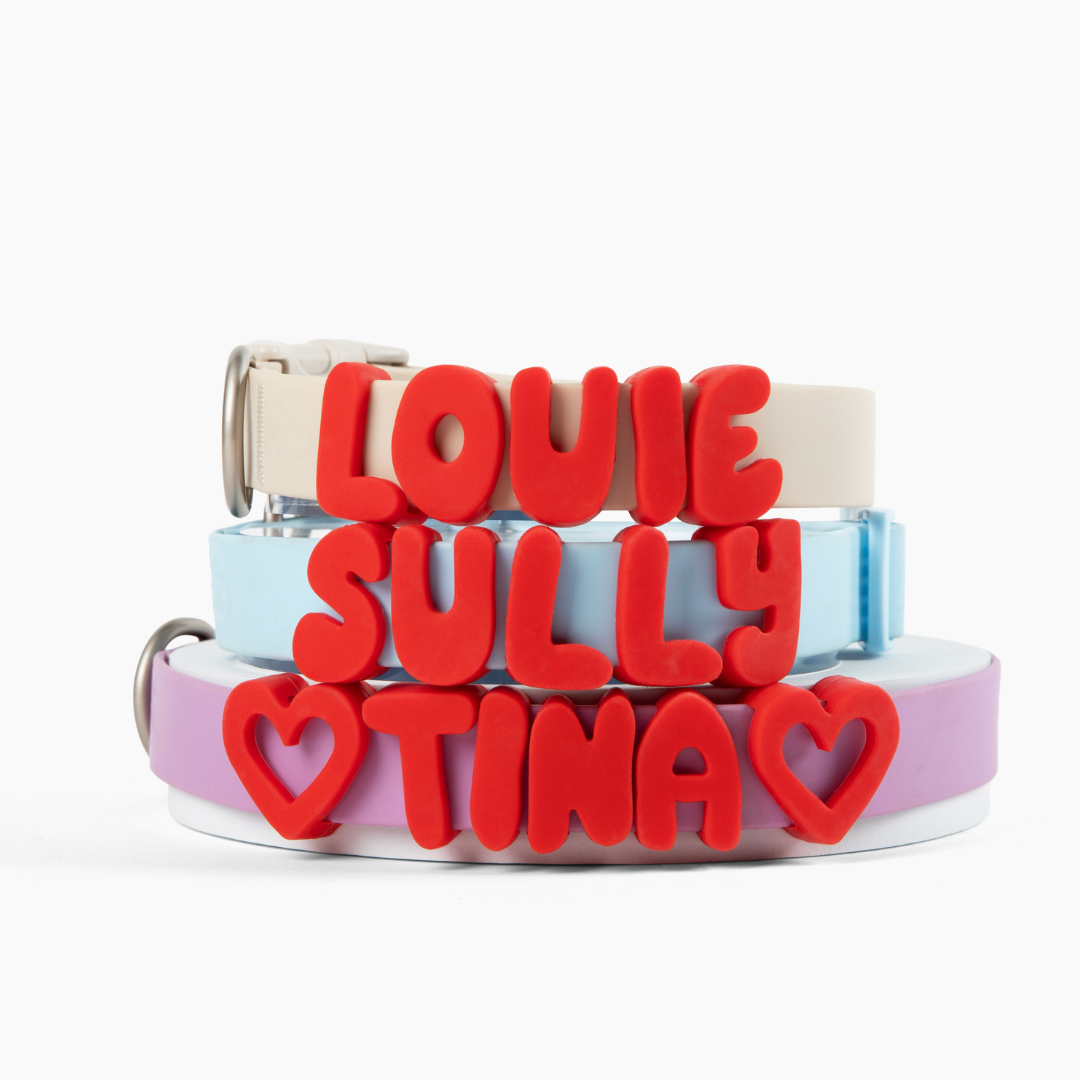 Customisable Waterproof Dog Collar in Sky Blue