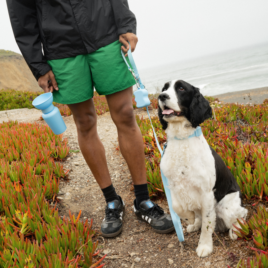 Premium Waterproof Leash in Green