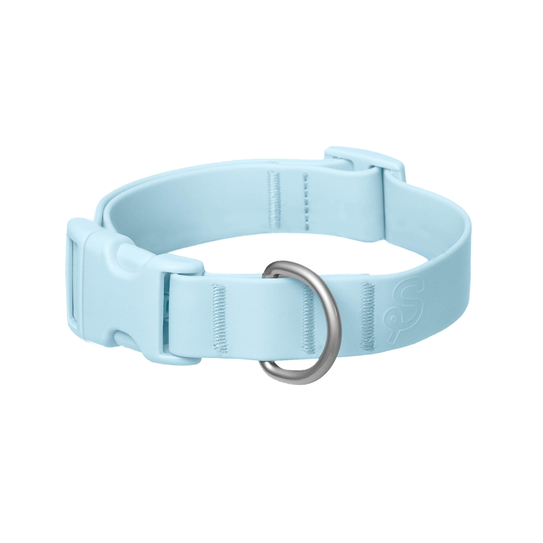 Customisable Waterproof Dog Collar in Sky Blue