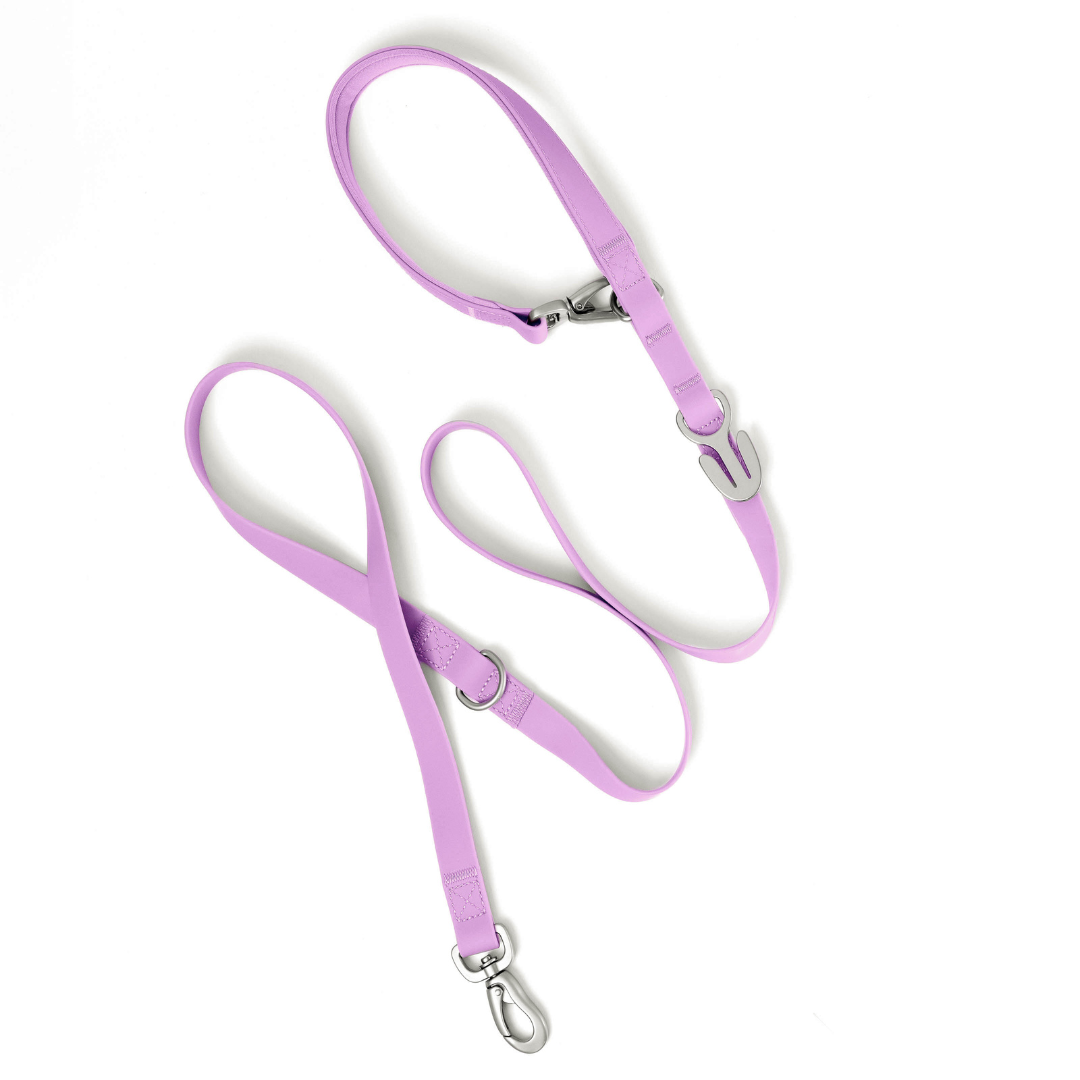 Premium Waterproof Leash in Lilac