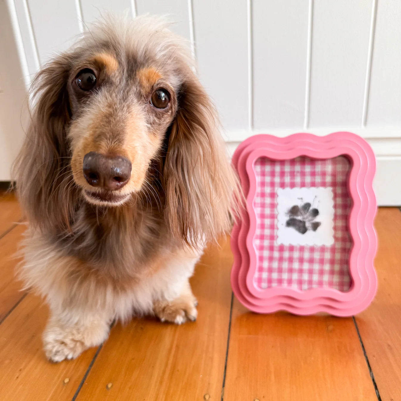 Paw Print Kit By Pablo & Co.