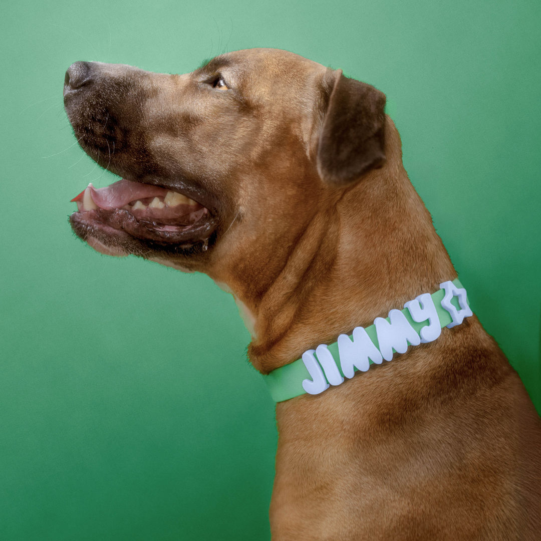 Customisable Waterproof Dog Collar in Green