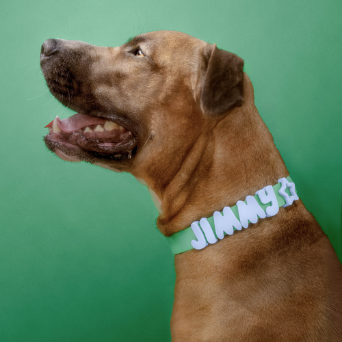 Customisable Waterproof Dog Collar in Green