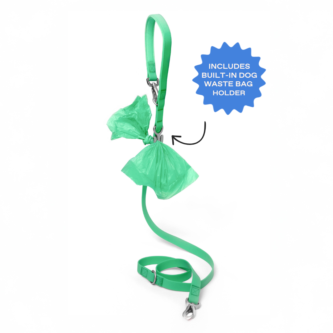 Premium Waterproof Leash in Lilac