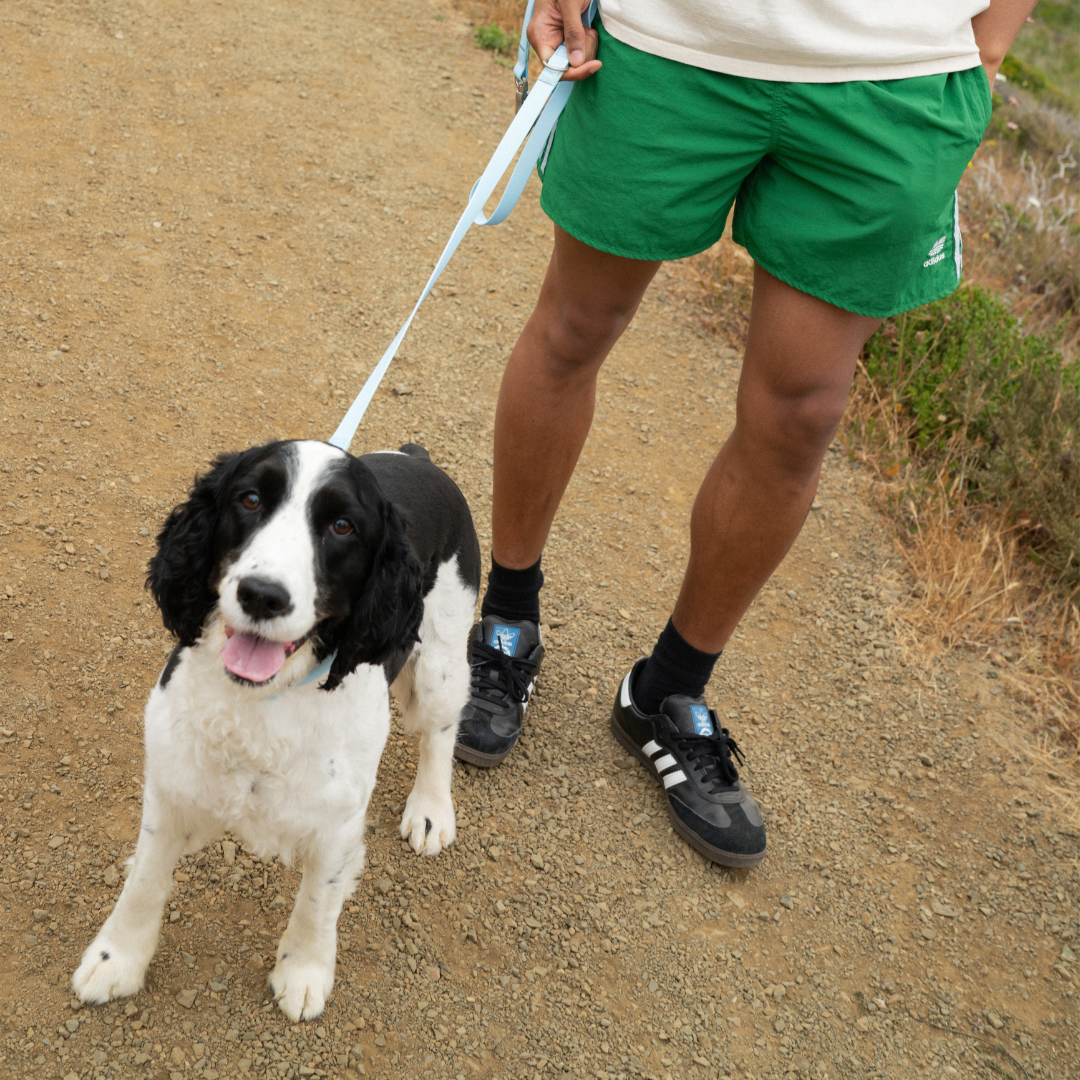 Premium Waterproof Leash in Oat