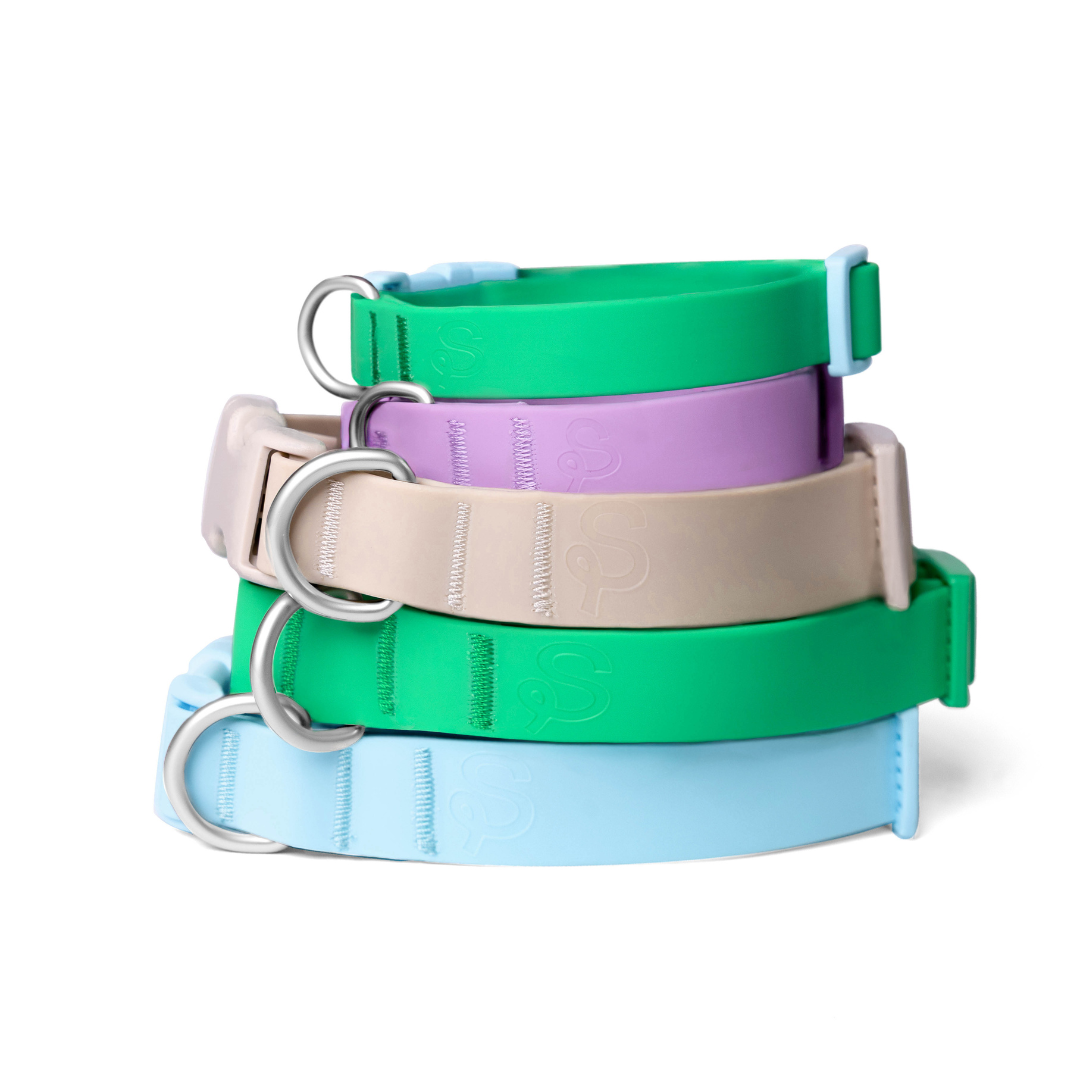 Customisable Waterproof Dog Collar in Green
