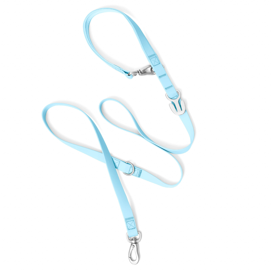 Premium Waterproof Leash in Sky Blue