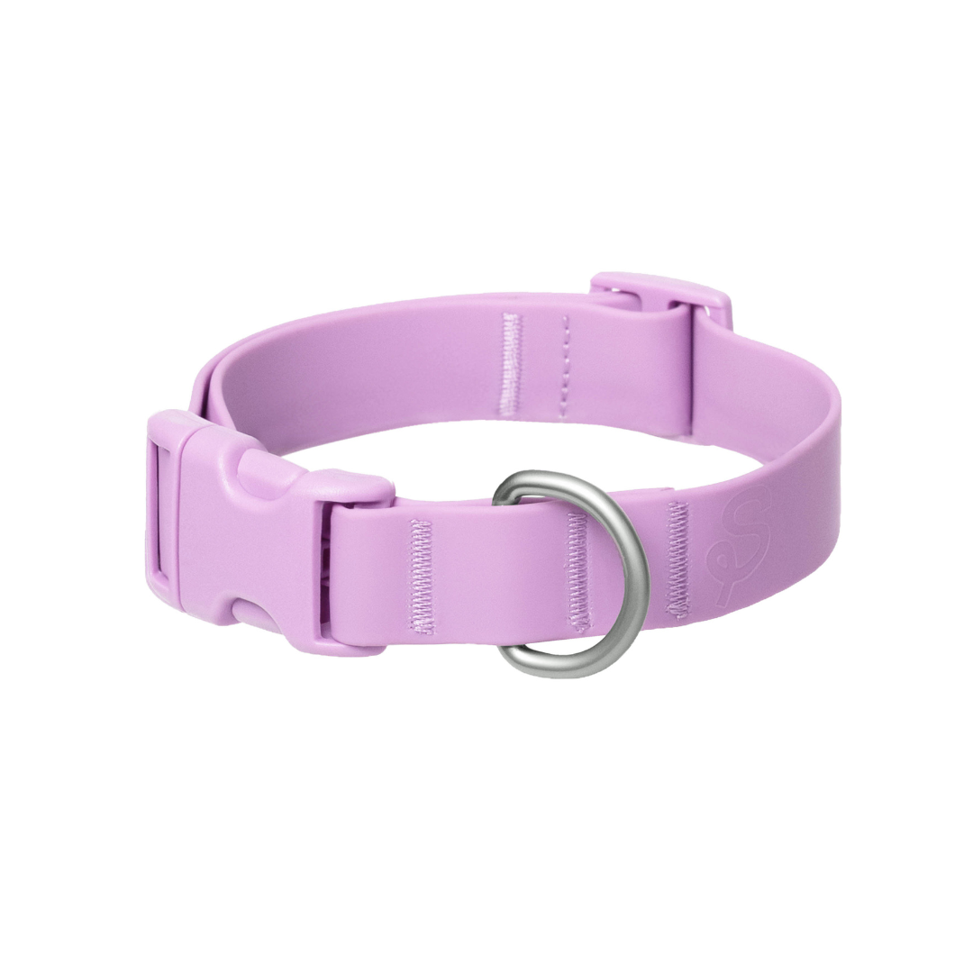 Customisable Waterproof Dog Collar in Lilac