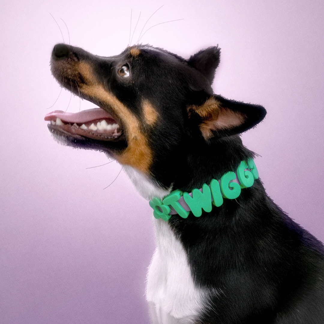 Customisable Waterproof Dog Collar in Green