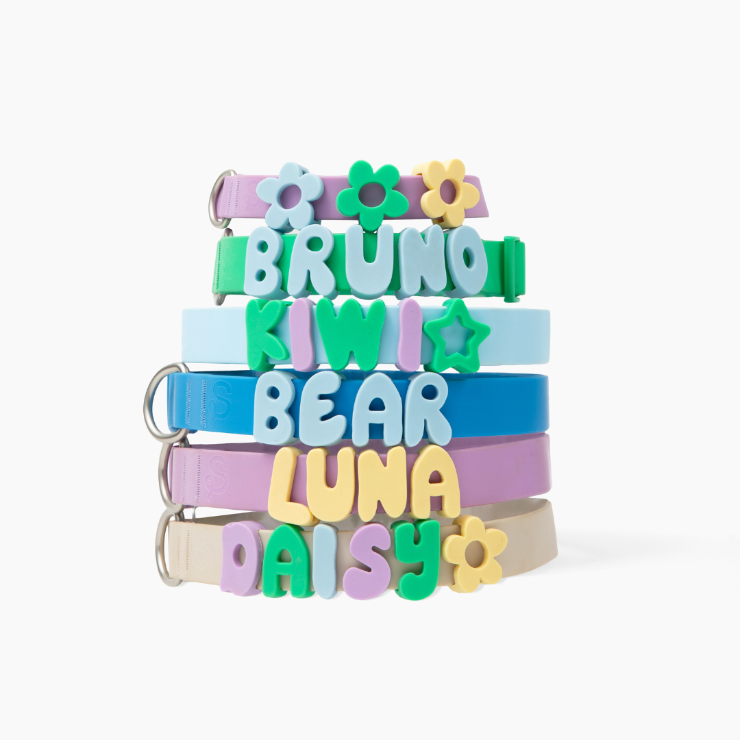 Customisable Waterproof Dog Collar in Green